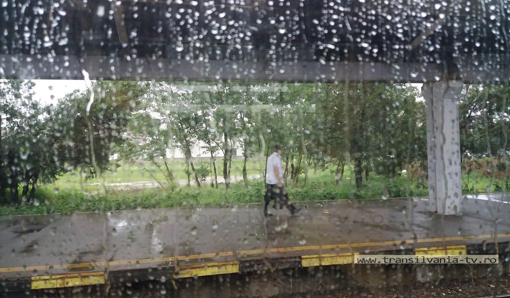 Nouă localități fără curent electric și copaci doborâți de vânt în urma furtunilor
