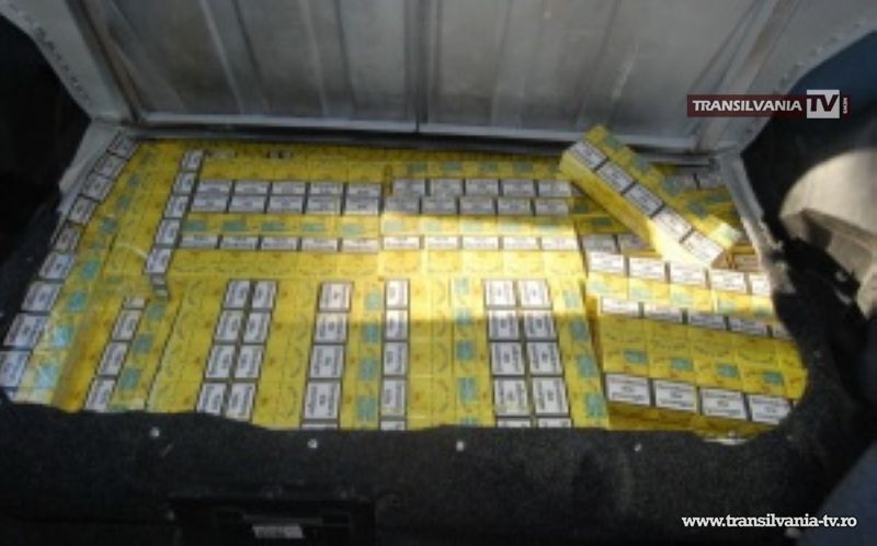 Țigări de contrabandă confiscate de polițiști la Botiz, Vama și Carei