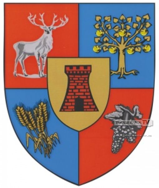 Judeţul Satu Mare are, oficial, stemă