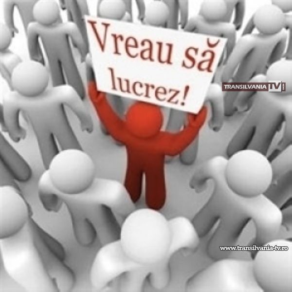 Program amplu de formare profesională pentru șomeri