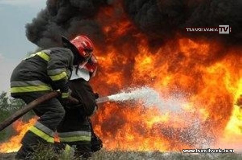 Incendiu la o fermă de pui din Sanislău