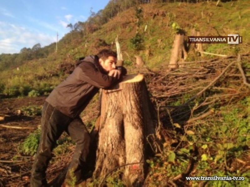 Defrişări de păduri în Rezervaţia Naturală Râul Tur