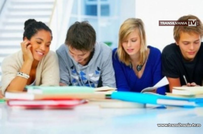 Elevii și studenții pot să muncească în vacanța de vară