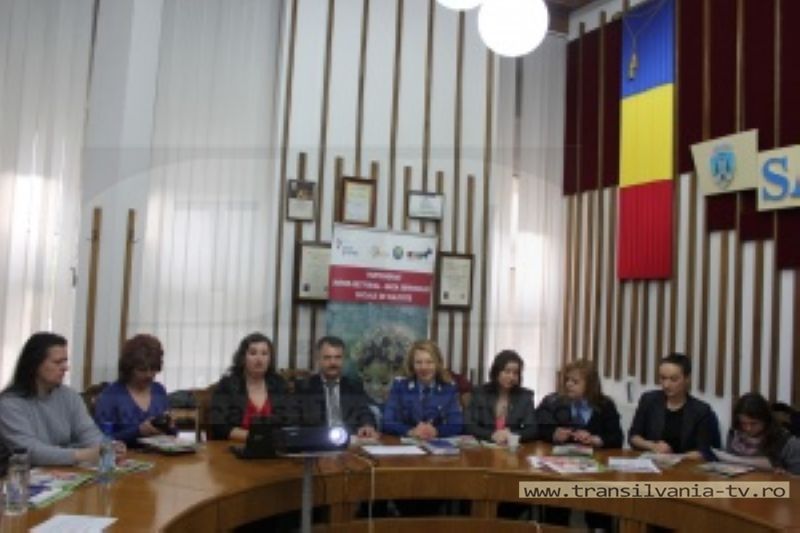 Asociația Stea și-a prezentat „Raportul anual 2015”