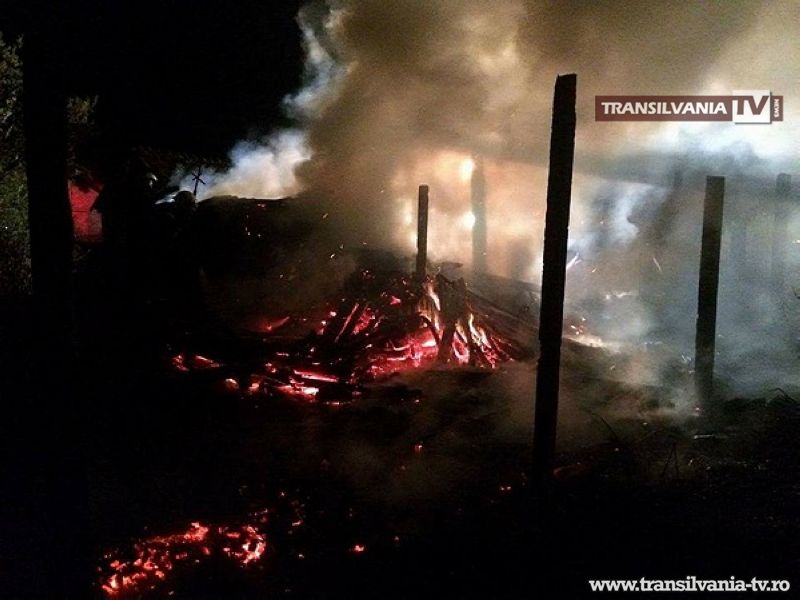 Magazie de lemne în flăcări la Balta Blondă. Pompierii au salvat o casă de la incendiu.