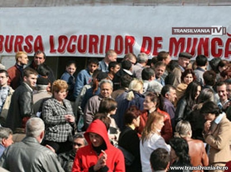AJOFM organizează Bursa Generală a Locurilor de Muncă
