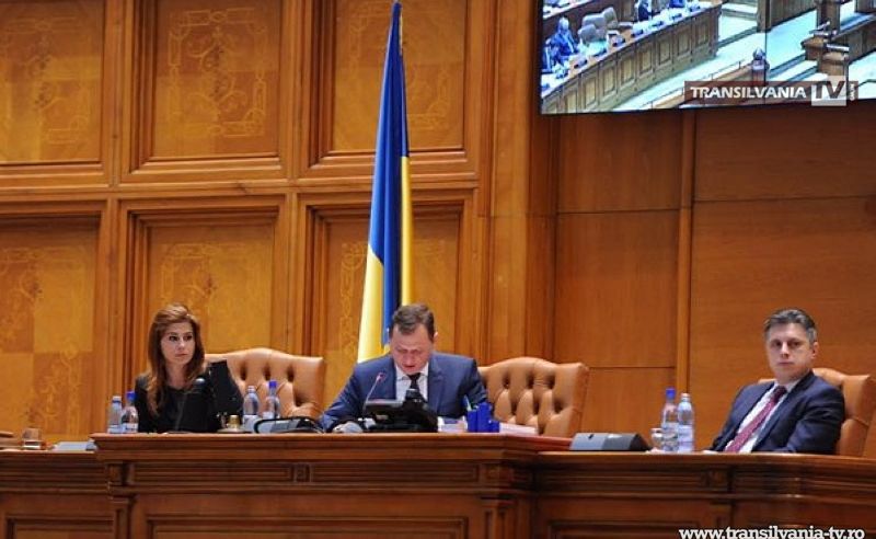 Deputatul sătmărean Ioana Bran susţine internaţionalizarea firmelor româneşti