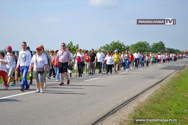 Maratonul de Solidaritate al Organizației Caritas