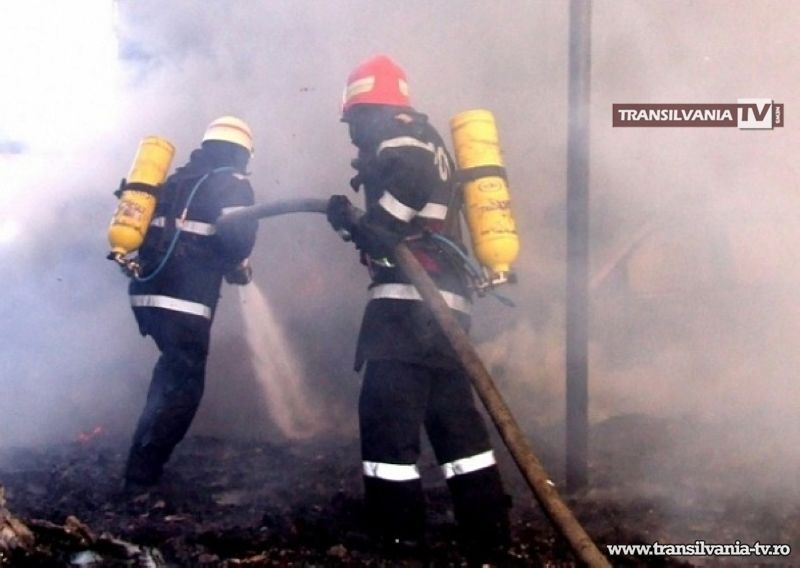 Incendiu la brutăria din Poiana Codrului