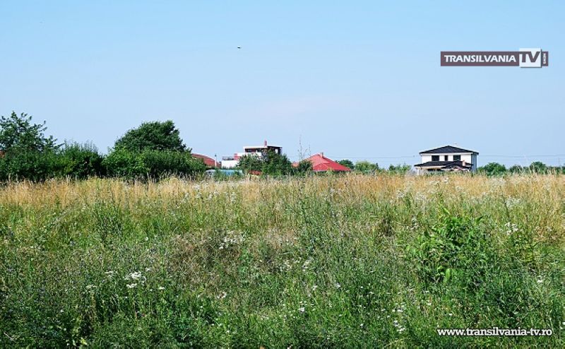 Primăria amendează sătmărenii care nu taie iarba pârloagelor