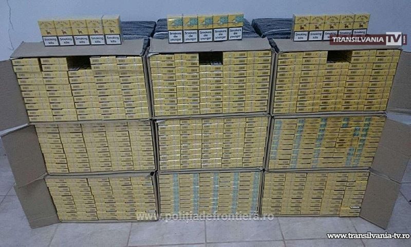 Peste 13.000 pachete țigări confiscate de polițiștii de frontieră la Halmeu și Tarna Mare