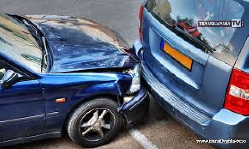 O oșancă și-a văzut de drum după ce a provocat un accident rutier