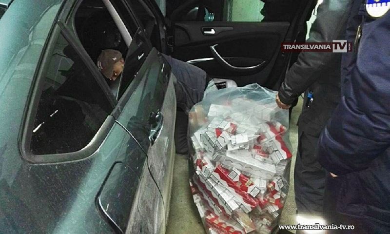 Percheziții la contrabandiștii de țigări. Mii de țigări au fost confiscate.