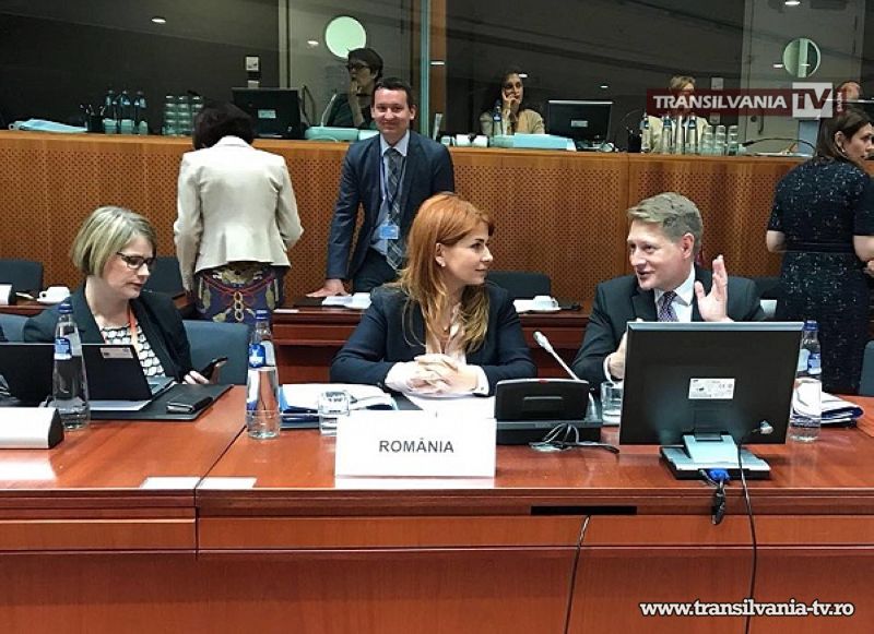 Ministrul Ioana Bran la Reuniunea Consiliului pentru Tineret de la Bruxelles