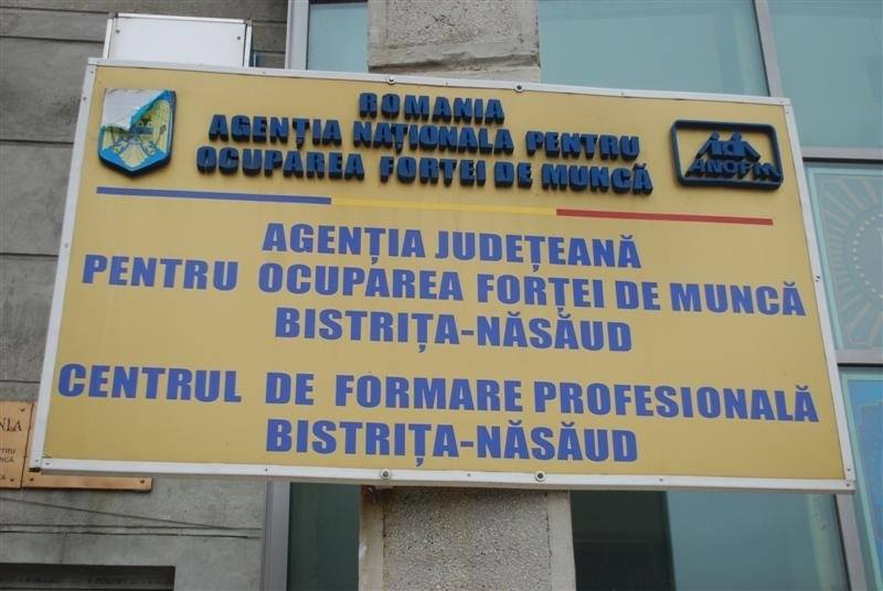 Bursa Locurilor de Muncă pentru Absolvenţi, la Bistrița
