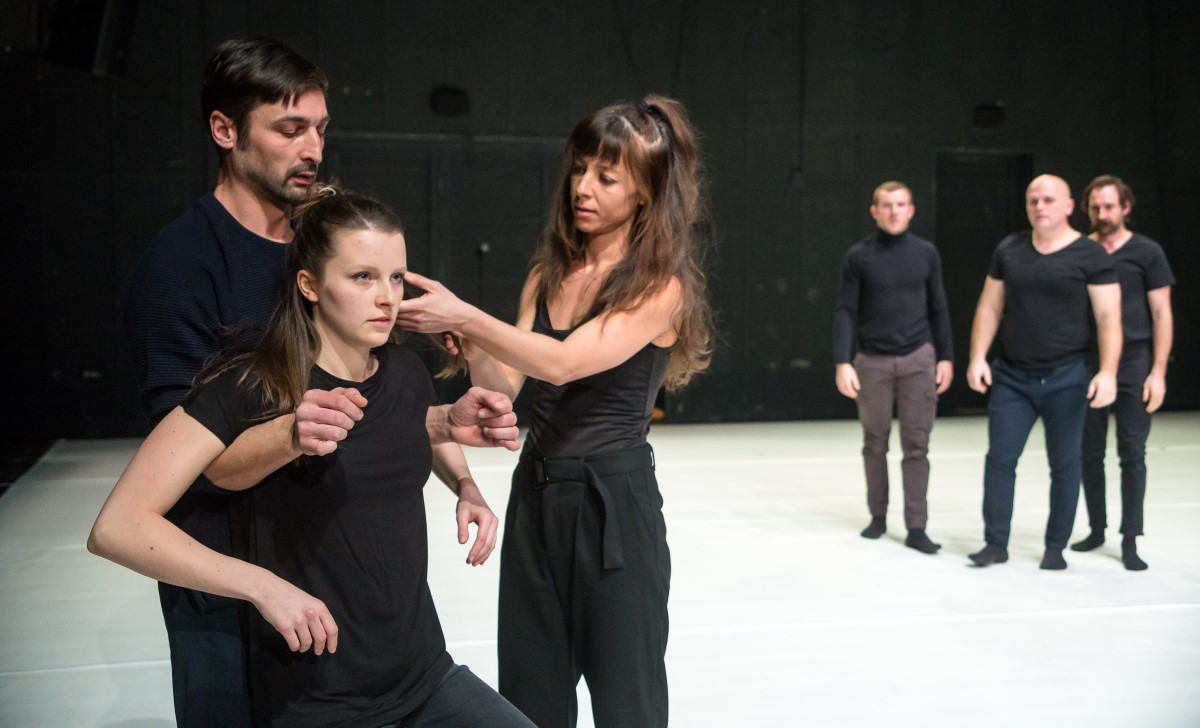 Festival de dans contemporan în Baia Mare