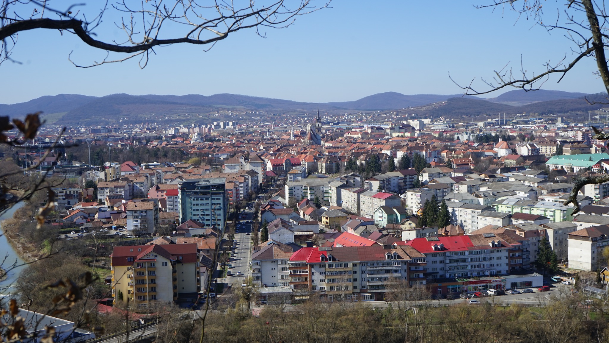 Conferința regională „Arbori urbani și spațiile verzi din Bistrița”