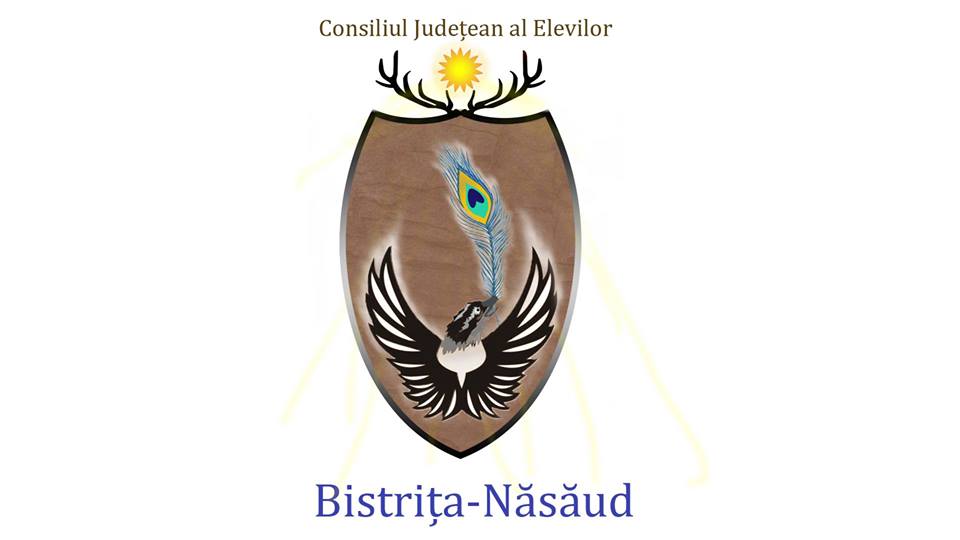 Alegeri la Consiliul Județean al Elevilor Bistrița-Năsăud