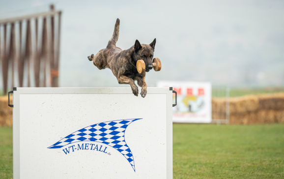 Campionatul Mondial Canin în premieră în România