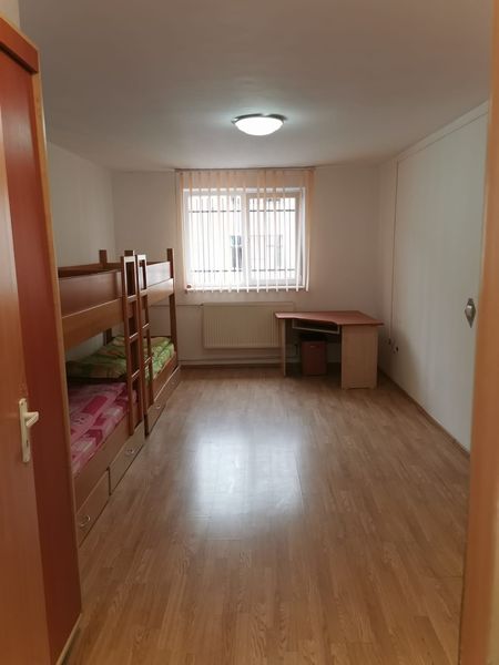 Sprijin oferit de Primăria Zalău victimelor violenței în familie