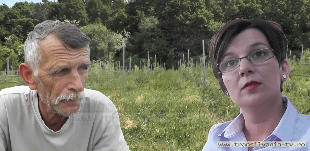 ÎN NUMELE LEGII! Prima plantaţie BIO de Goji atestată în România, trebuie transformată în păşune! (VIDEO-Galerie FOTO)