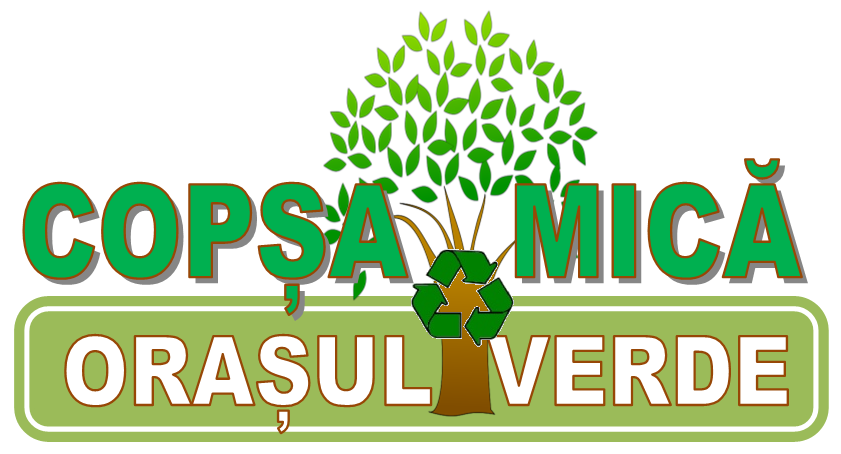 Acţiune de colectare de deşeuri reciclabile de plastic în Copșa Mică