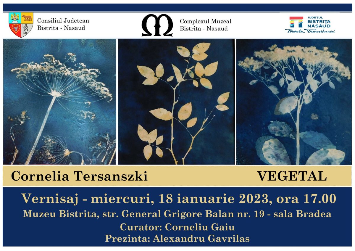 Vernisaj Cornelia Tersanszki la Complexul Muzeal Bistrița