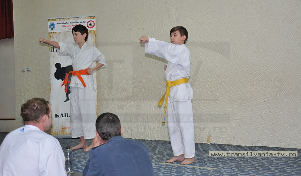 Ediția 2016 a Cupei Sătmarului la karate (Galerie Foto)