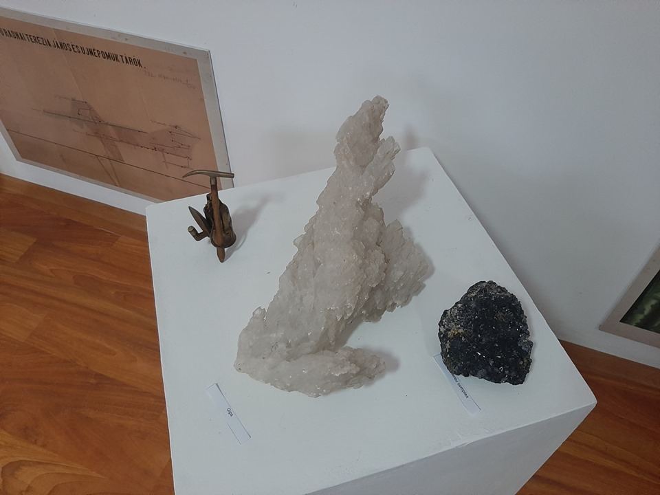 A avut loc vernisajul expoziției „Eșantioane de roci și Flori de Mină din Muntii Rodnei”