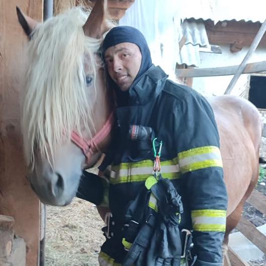 Un tânăr pompier de la ISU Bistrița-Năsăud a salvat trei cai
