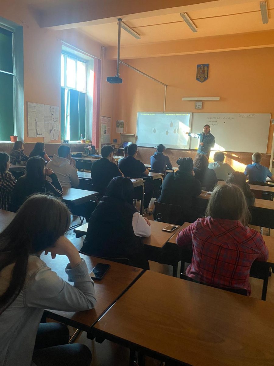 Al doilea sezon al proiectului ”Grădinița de lilieci din Lușca”