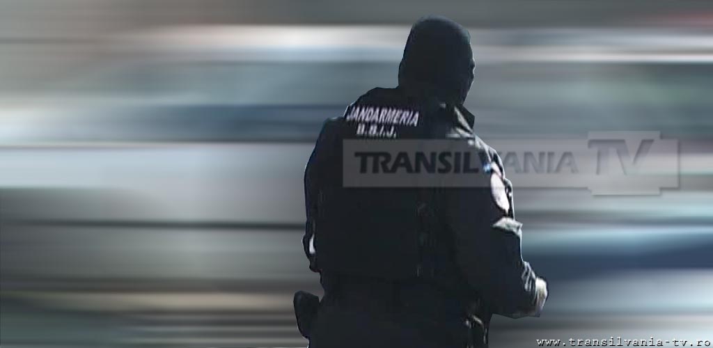 Baia Mare: Amendați de jandarmi pentru că au dat drumul tare la muzică