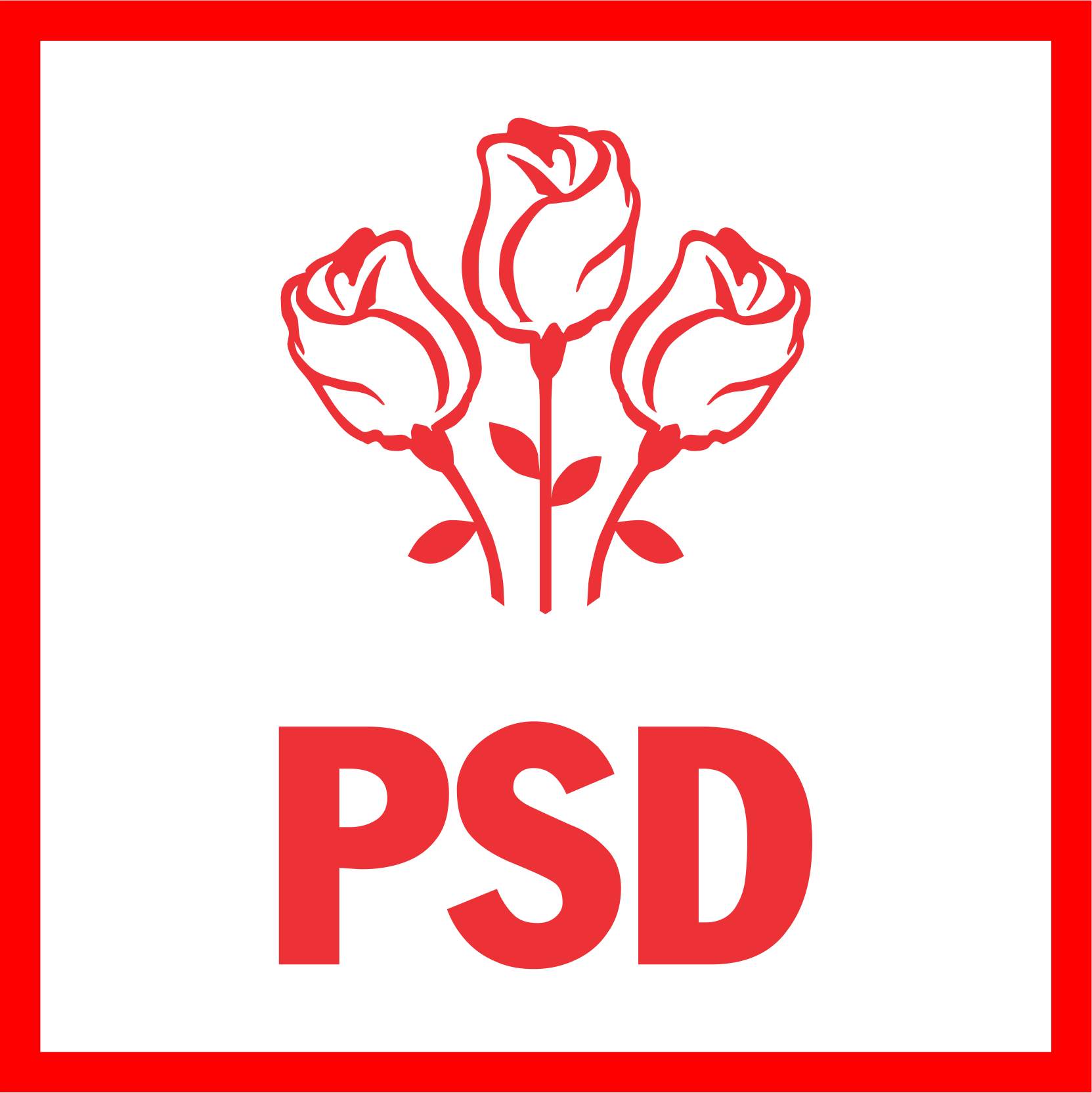 PSD va face o propunere de premier și va prezenta clasei politice 100 de soluții pentru stabilizarea țării