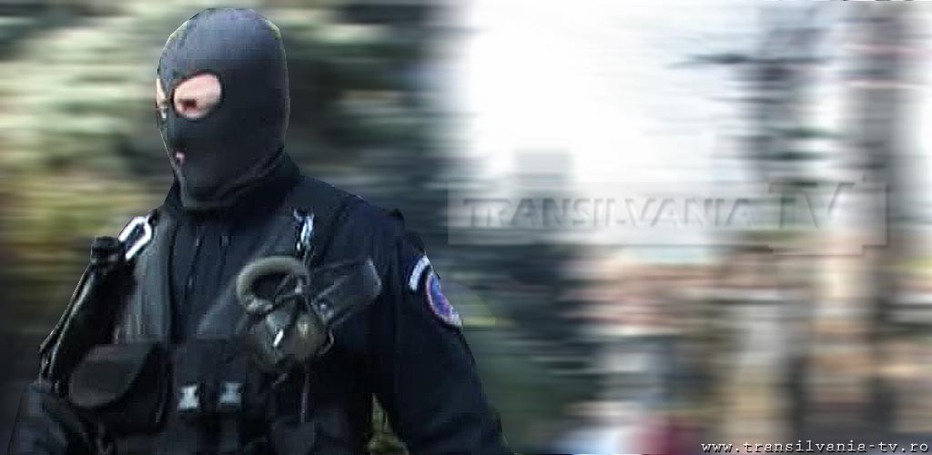 Vezi rezultatele perchezițiilor efectuate de polițiștii din Alba la persoane bănuite de evaziune fiscală, executarea de activități miniere fără permis sau licenţă, furt şi spălare de bani