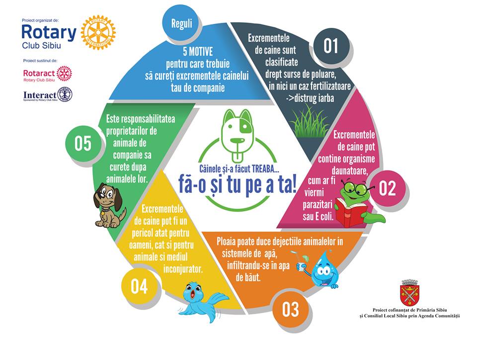 Proiect comunitar „Pentru un Sibiu curat”