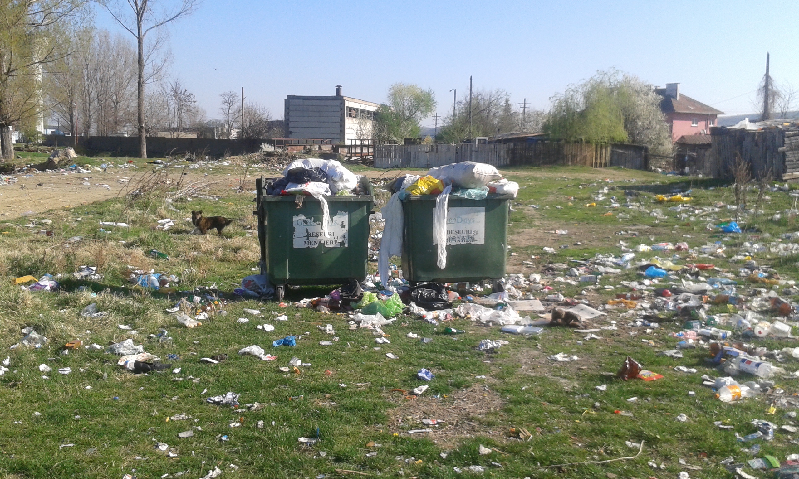 PESTE 472 DE TONE DE GUNOAIE STRÂNSE ÎN 5 ORE, LA SEBES!