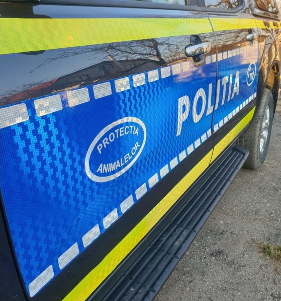 Acțiune a polițiștilor din Șimleu Silvaniei, împreună cu polițiștii Biroului pentru Protecția Animalelor