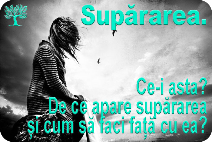 Supărarea și frustrarea sunt momente artificiale