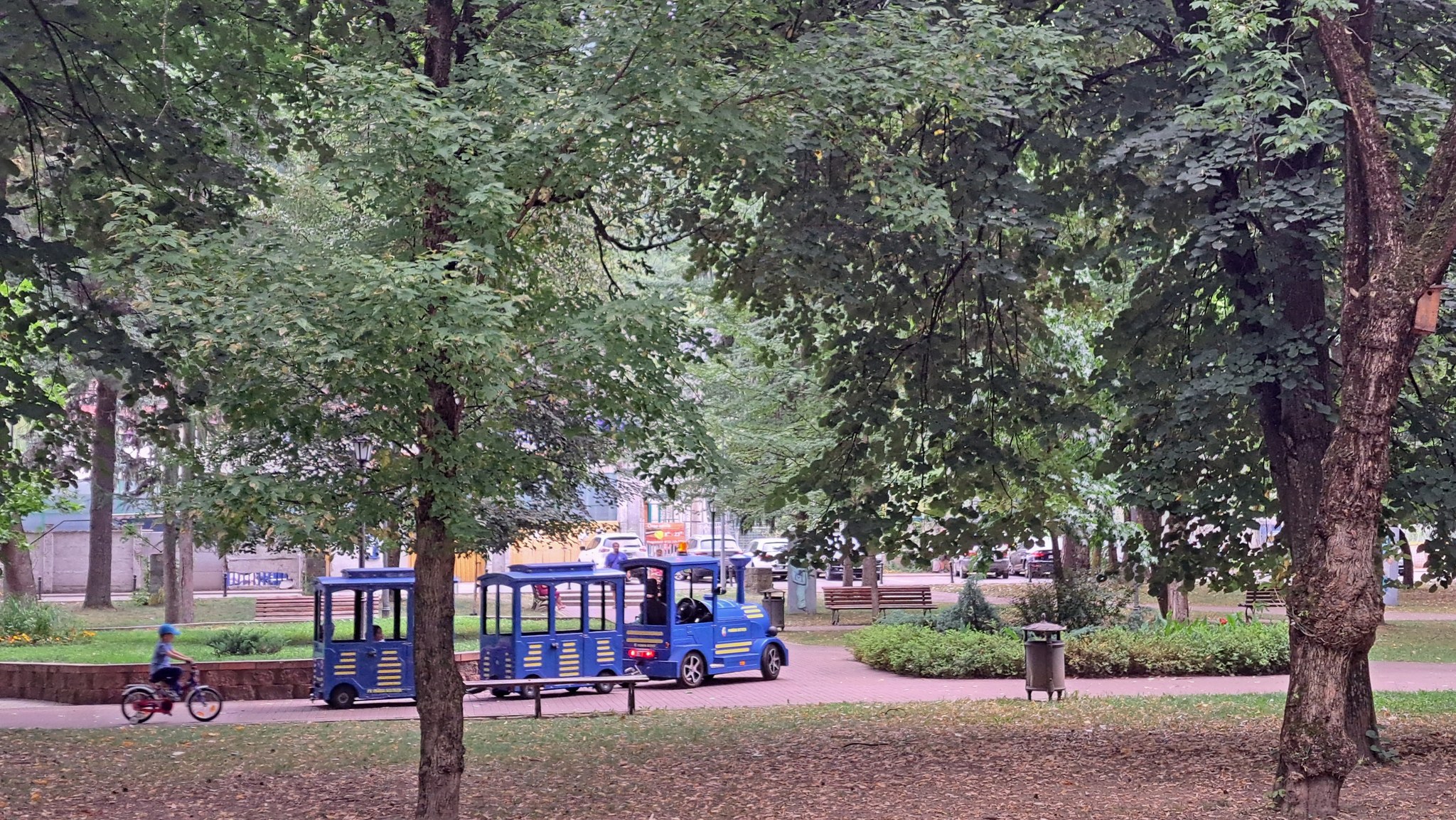 Trenulețul Thomas își reia traseele de agrement în Parcul „Regele Mihai I al României” din Bistrița