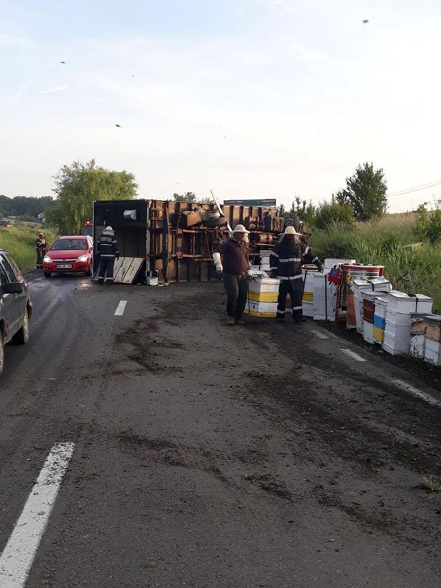 Accident rutier produs la ieșirea din Băile Felix