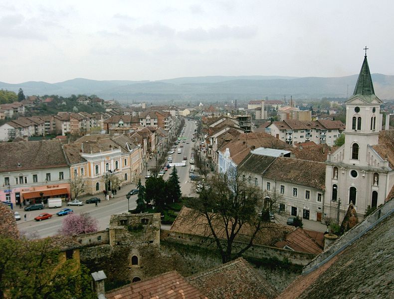 DISPOZIŢIA Nr. 515 / 2017 Privind convocarea Consiliului Local al Municipiului Sebeş , jud. Alba în şedinţă, publică, ordinară.