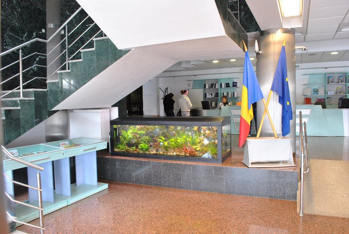 Săptămâna 16-21 februarie la Biblioteca Județeană „Petre Dulfu” Baia Mare