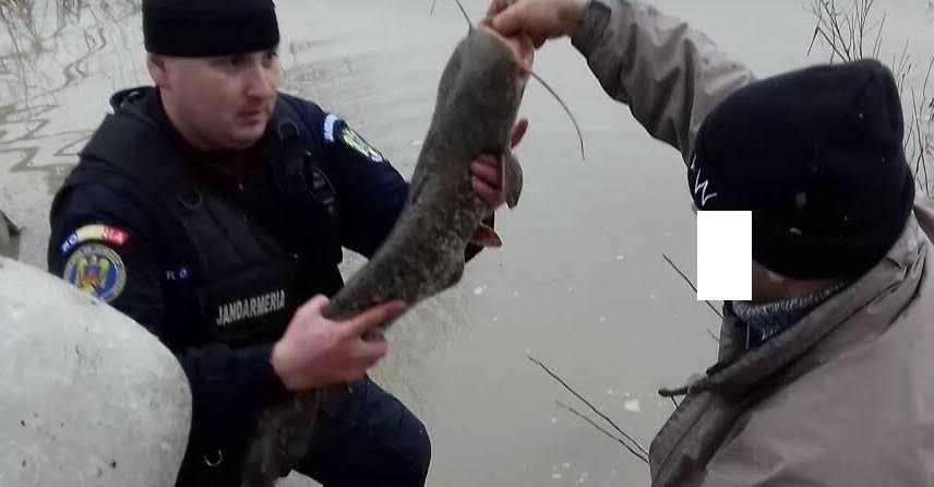 Sancțiuni aplicate de jandarmii sălăjeni, pentru braconaj cinegetic și piscicol