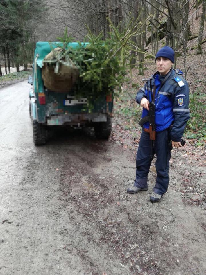 Brazi confiscați de jandarmii montani din Costești