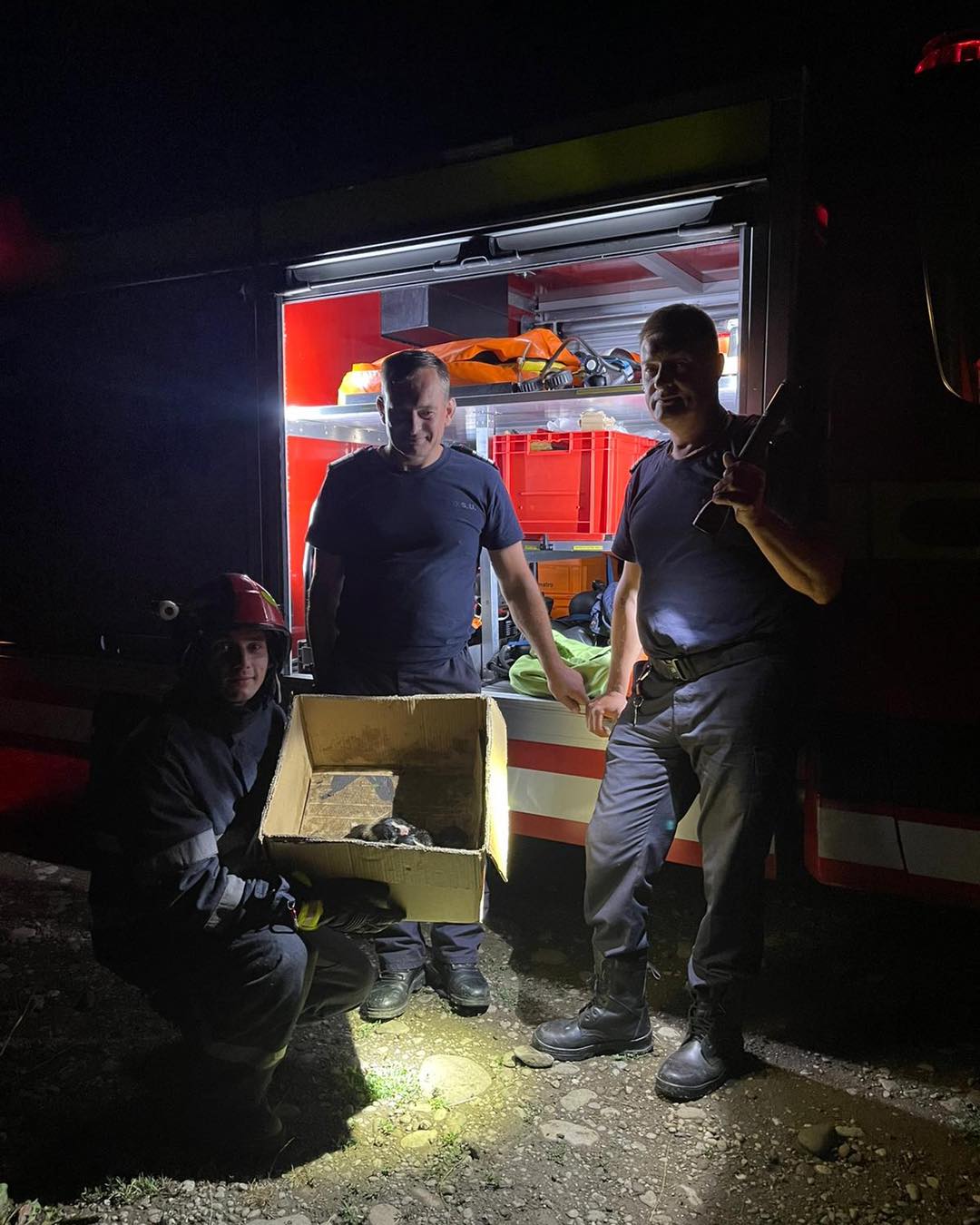 Opt pui de câine salvați de membrii unui echipaj de descarcerare din cadrul ISU Bistrița-Năsăud