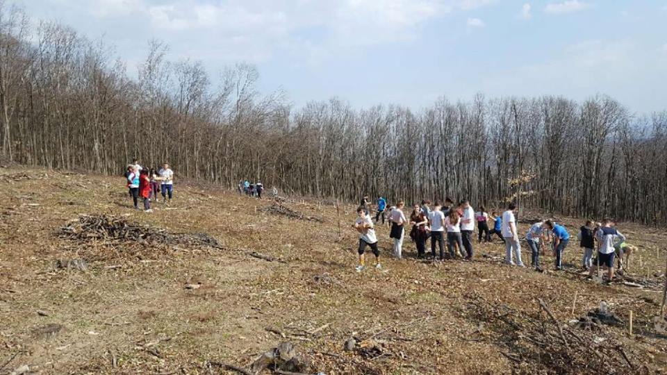 Campanie de împădurire în Zalău
