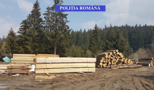 Lemn confiscat în Lunca Ilvei