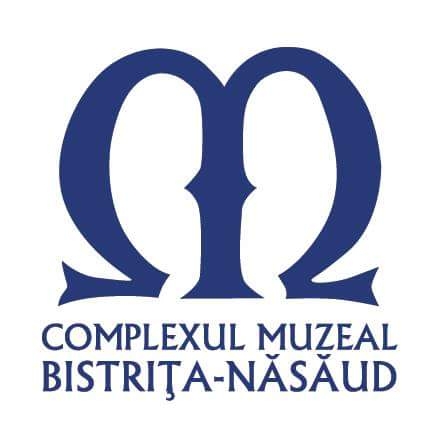 Bistrița: Tabăra de restaurare pietrărie