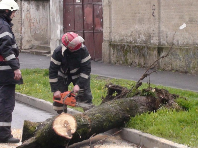 Intervenții ale pompierilor bihoreni, pentru înlăturarea efectelor furtunilor produse azi