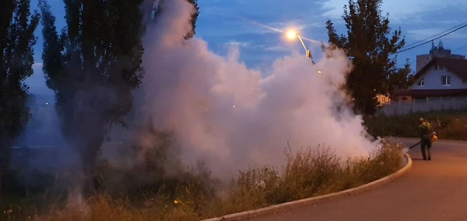 Deratizare în municipiul Hunedoara